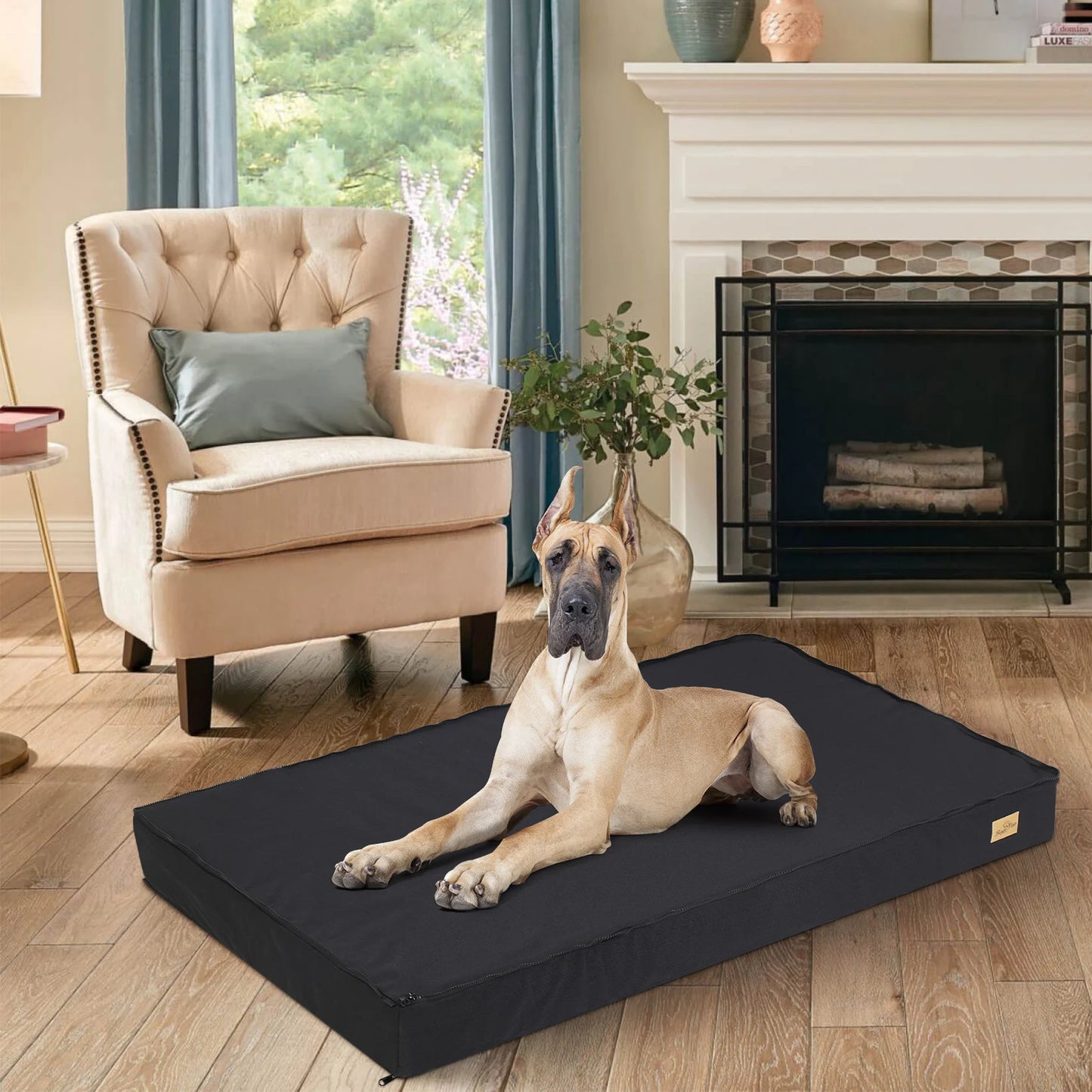 BINGOPAW Washable Orthopedic Dog Bed for Large Dogs