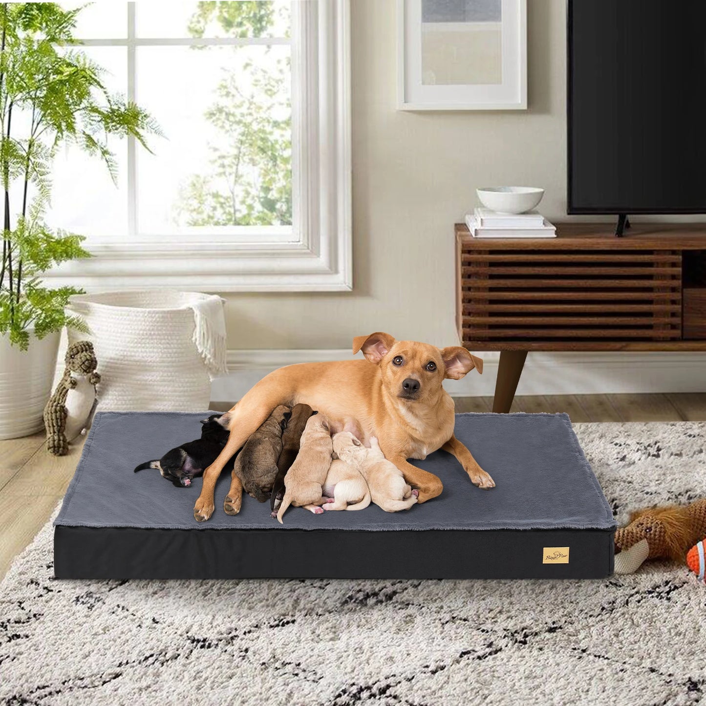 BINGOPAW Washable Orthopedic Dog Bed for Large Dogs