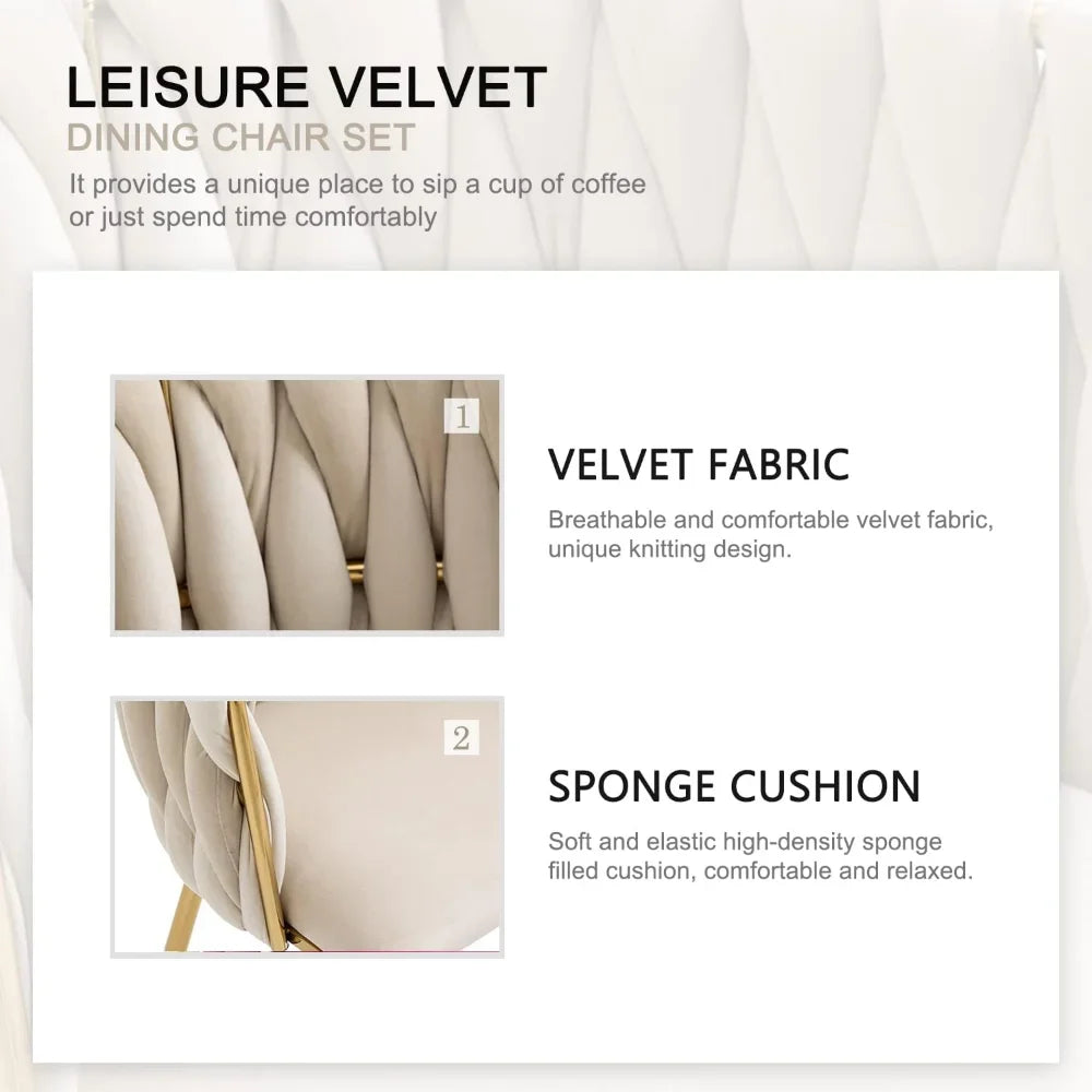 Velvet Dining Chairs Set of 2 with Gold Metal Legs