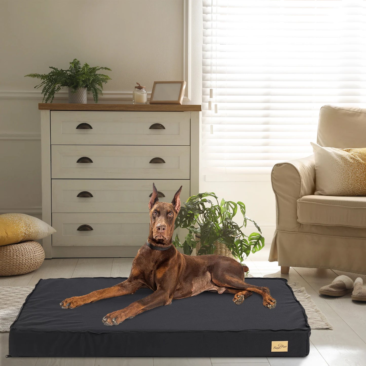 BINGOPAW Washable Orthopedic Dog Bed for Large Dogs