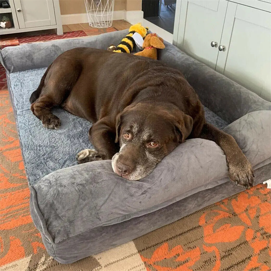 Orthopedic Dog Bed With Removable Washable Cover Foam