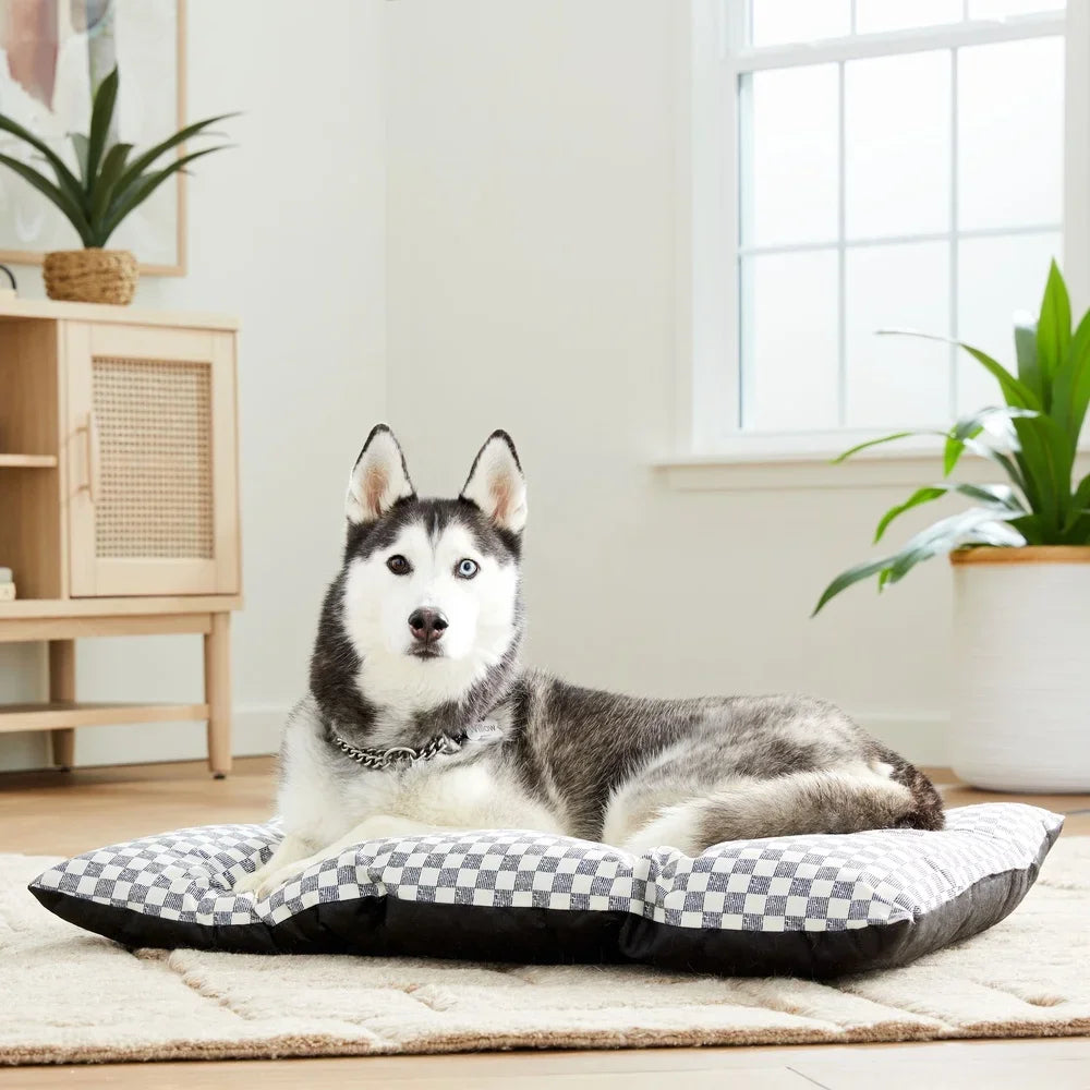 Fujian Eco-Friendly Tufted Pillow Pet Bed for Dogs