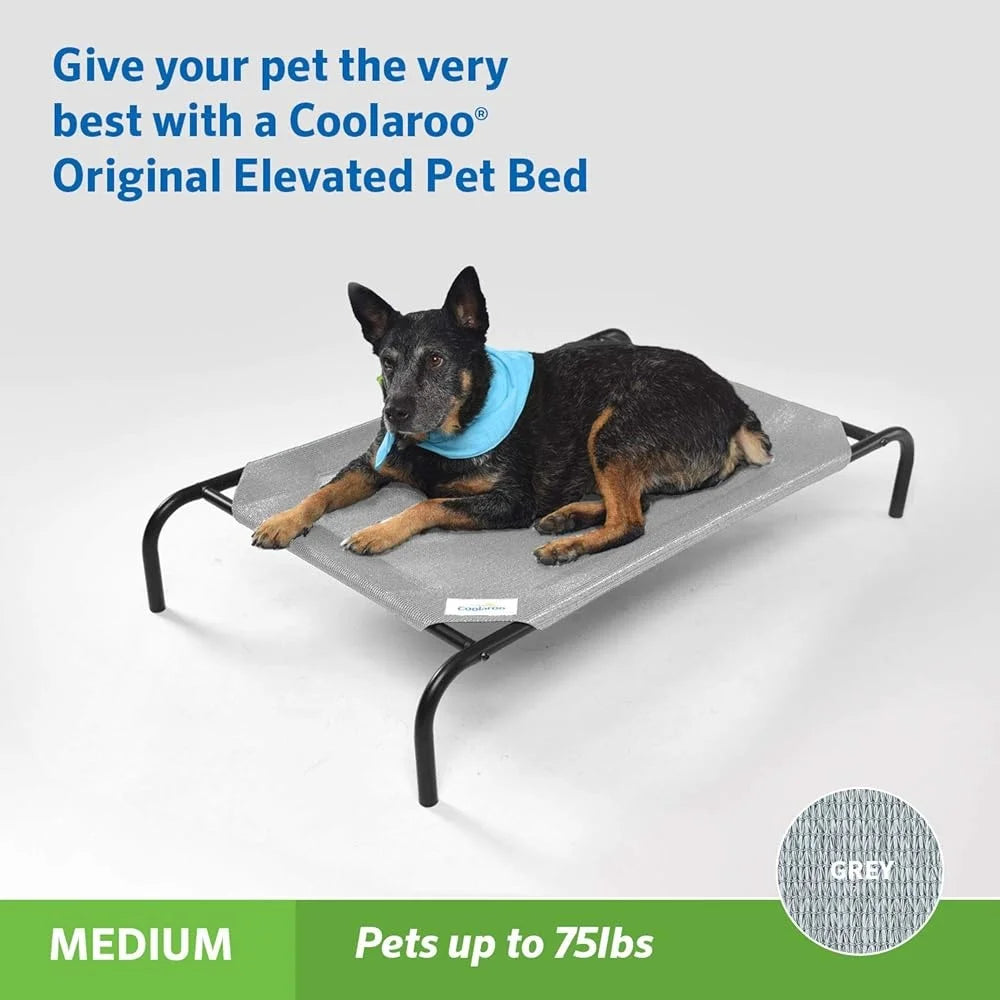 Cooling Elevated Dog Bed by CN Perfect for Indoor Outdoor Use