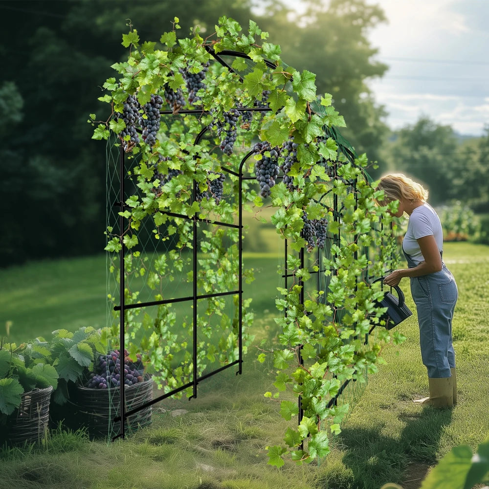 Wisfor Garden Plant Climbing Frame U Shaped IndustrialGradeSuperHeavyDuty Trellis System