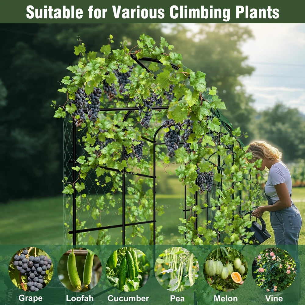 Wisfor Garden Plant Climbing Frame U Shaped IndustrialGradeSuperHeavyDuty Trellis System