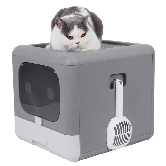 Cat Litter Box with Scoop and Tray by Feature Pet Supplies